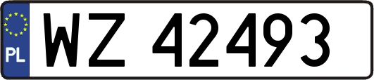 WZ42493