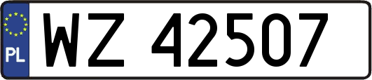 WZ42507
