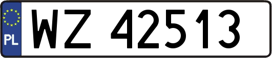 WZ42513