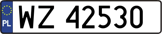 WZ42530