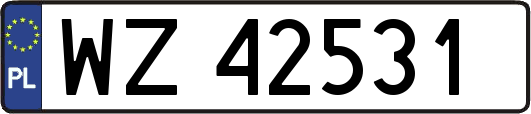 WZ42531