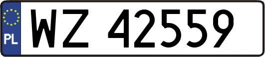 WZ42559