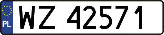 WZ42571