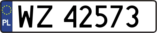 WZ42573
