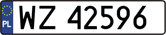 WZ42596