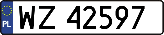 WZ42597