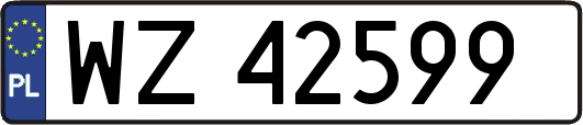 WZ42599