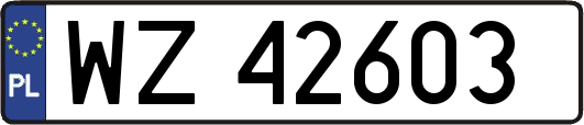 WZ42603