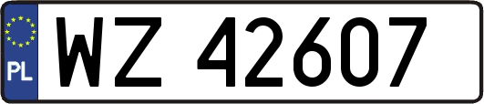 WZ42607