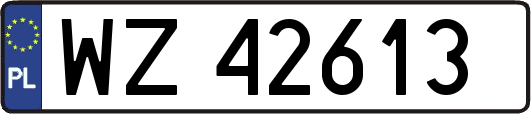 WZ42613