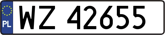 WZ42655
