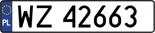 WZ42663