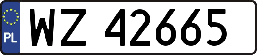 WZ42665
