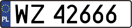 WZ42666