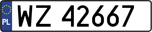WZ42667
