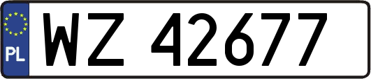 WZ42677