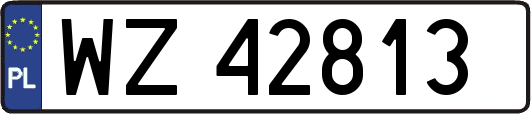 WZ42813