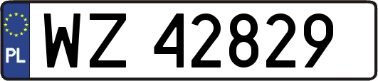 WZ42829