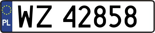 WZ42858
