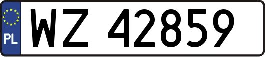 WZ42859