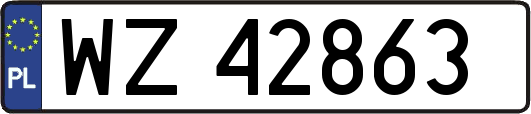 WZ42863