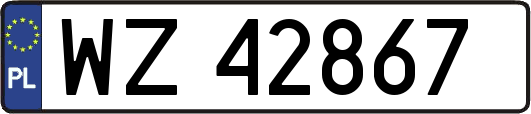 WZ42867