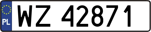 WZ42871