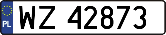 WZ42873