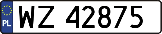 WZ42875