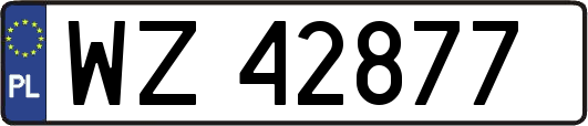 WZ42877