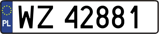 WZ42881