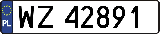 WZ42891
