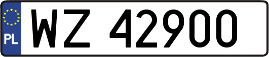 WZ42900