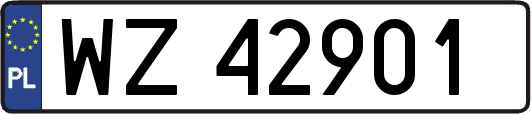 WZ42901