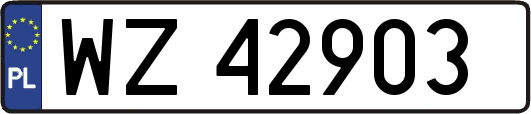 WZ42903