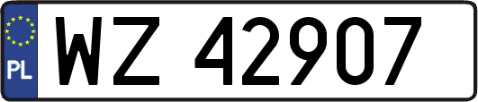 WZ42907