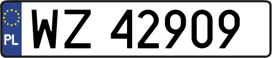 WZ42909