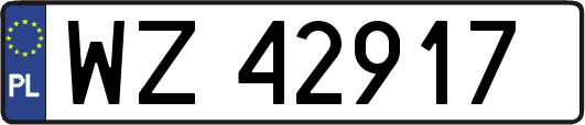 WZ42917