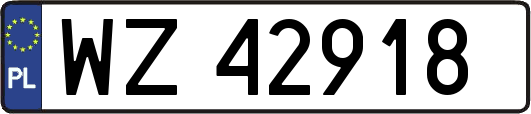WZ42918