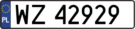 WZ42929