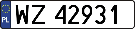 WZ42931
