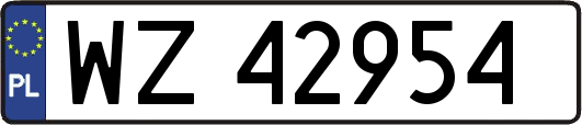 WZ42954