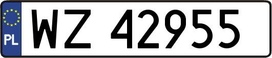 WZ42955