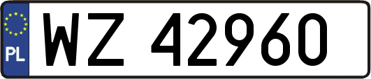WZ42960