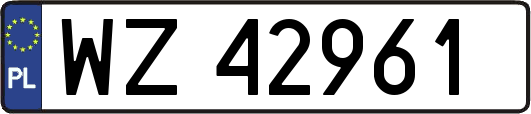 WZ42961