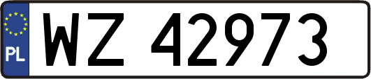 WZ42973