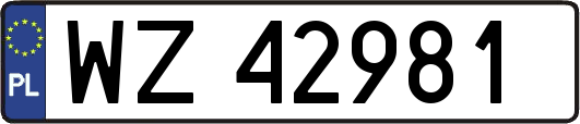WZ42981