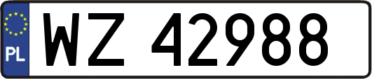 WZ42988