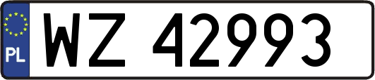 WZ42993