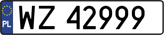 WZ42999